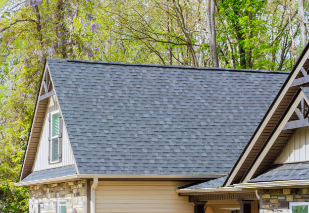 Best Skylight Installation and Repair  in Fairway, KS